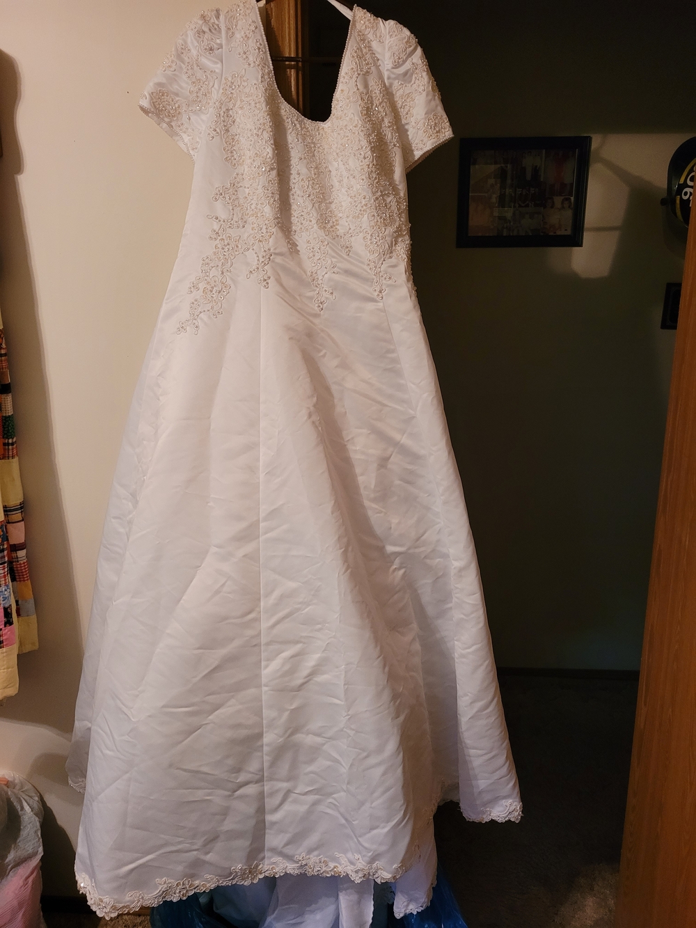 Alfred Angelo White Lace-Embroidered Short Sleeve Ball Gown - Picture 4 of 16